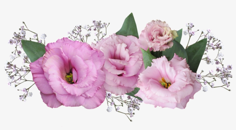Flower-3029456 960 - ลาย ดอกไม้, transparent png #6184336
