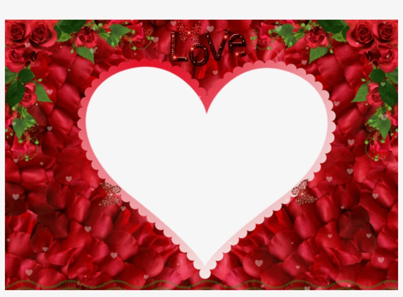 Free Png Love Rose Redphoto Frame Png Images Transparent - Love Rose Image Png, transparent png #6185113