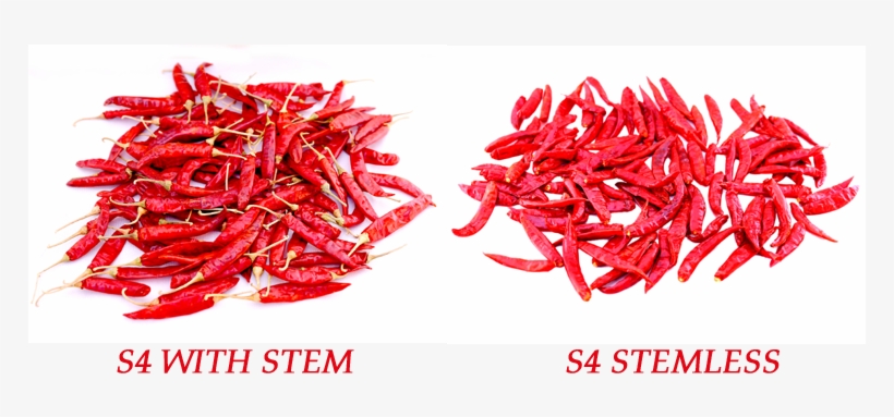 S4/334 Dry Red Chilli - Export, transparent png #6185736