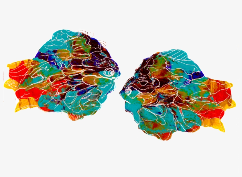 I K A N - Earrings, transparent png #6185864