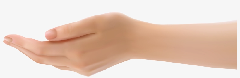 Openclipart, transparent png #6188329