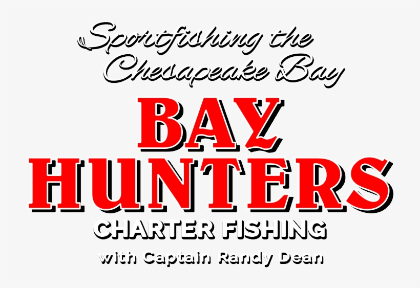 Annapolis Charter Fishing, transparent png #6189522