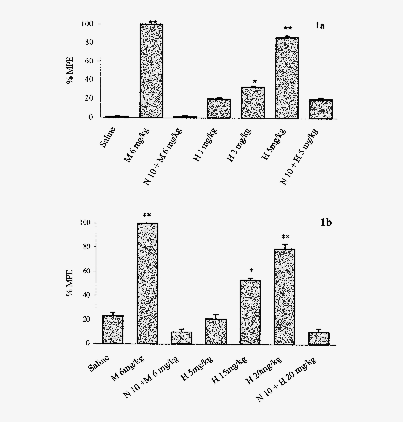 Effects Of Morphine And Hodgkinsine (h) On Tail Flick - Diagram, transparent png #6190499