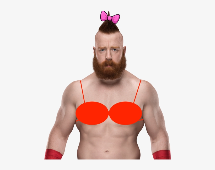 If You're Not Sure If Something Is Proboards Safe, - Wwe Sheamus, transparent png #6191821