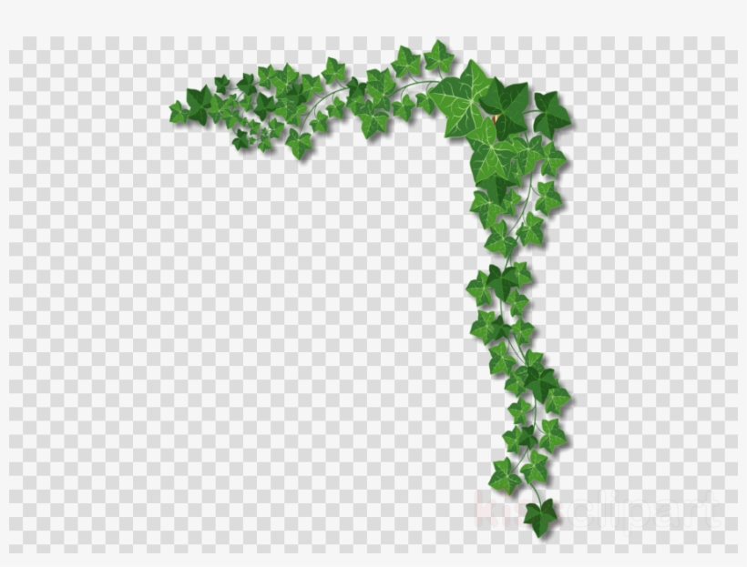 Ivy Page Border Clipart Clip Art - Portable Network Graphics, transparent png #6192106