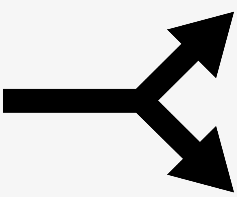 Straight Arrow With Bifurcation To Two Comments - Bifurcation Arrow, transparent png #6194489
