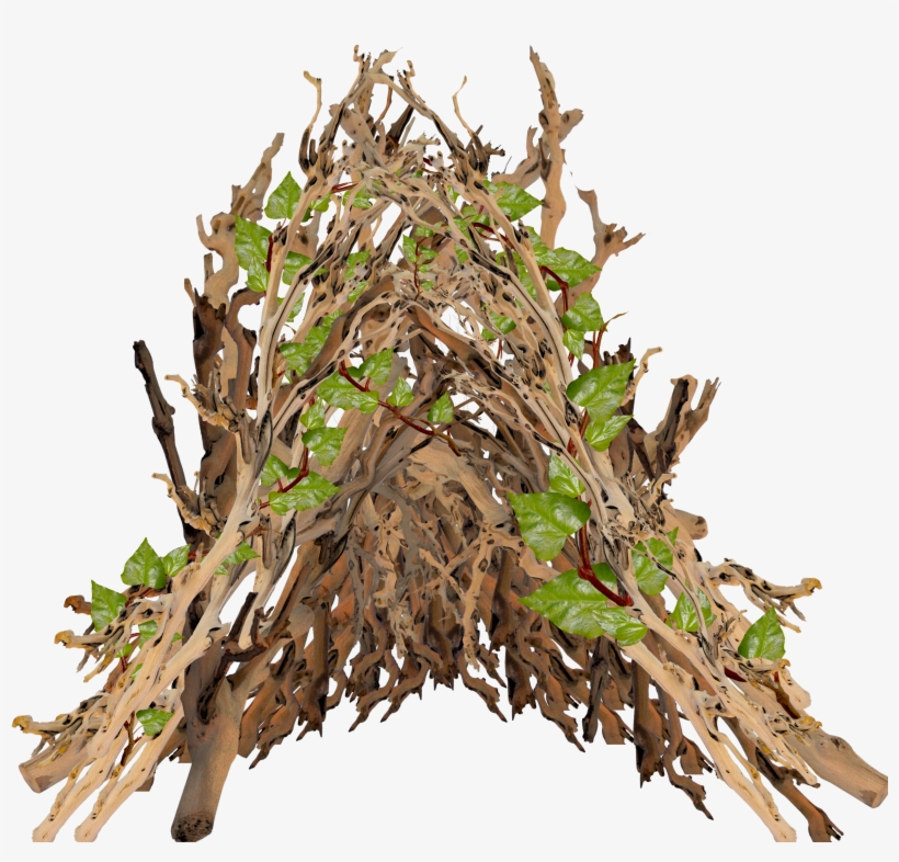 They Added Our Leaflets In To The Vines - Branch, transparent png #6195438