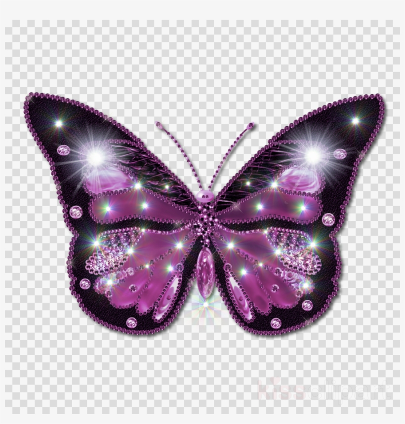 Beautiful Butterfly Png Clipart Butterfly Butterflies - Butterfly Png Hd -  Free Transparent PNG Download - PNGkey