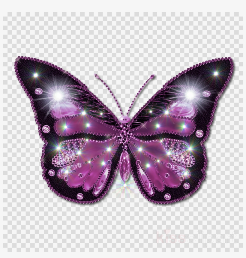 Beautiful Butterfly Png Clipart Butterfly Butterflies - Butterfly Png Hd, transparent png #6197412