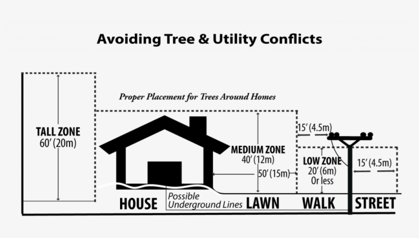 Tree Clearance1 - Utility Program, transparent png #6197951
