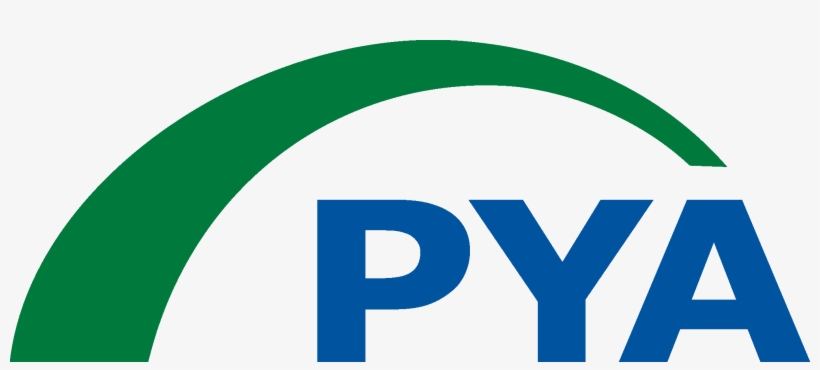 Pya Logo, transparent png #6199148