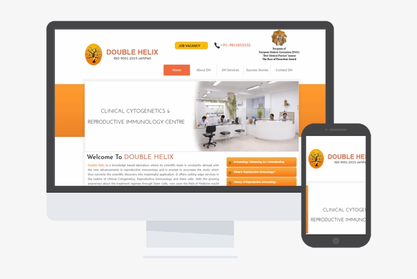 Jr Infotech-portfolio - Portable Network Graphics, transparent png #6199853