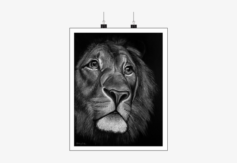 Black & White - Lion Face Painting On Canvas, transparent png #620486