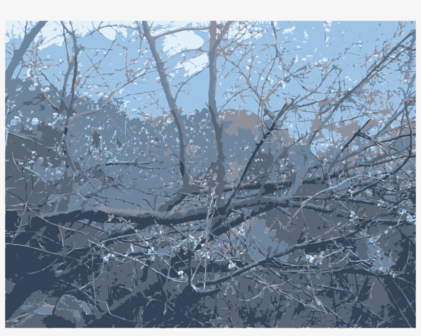 This Free Icons Png Design Of Nest Of Tree Branches, transparent png #620696