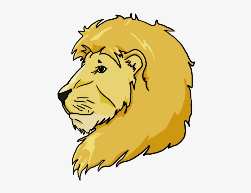 Drawing Of A Lion - Drawing, transparent png #620772