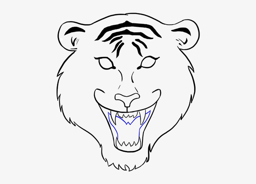 Lion Face Drawing Step By Step At Getdrawings - Tiger Face Drawing Easy, transparent png #620871
