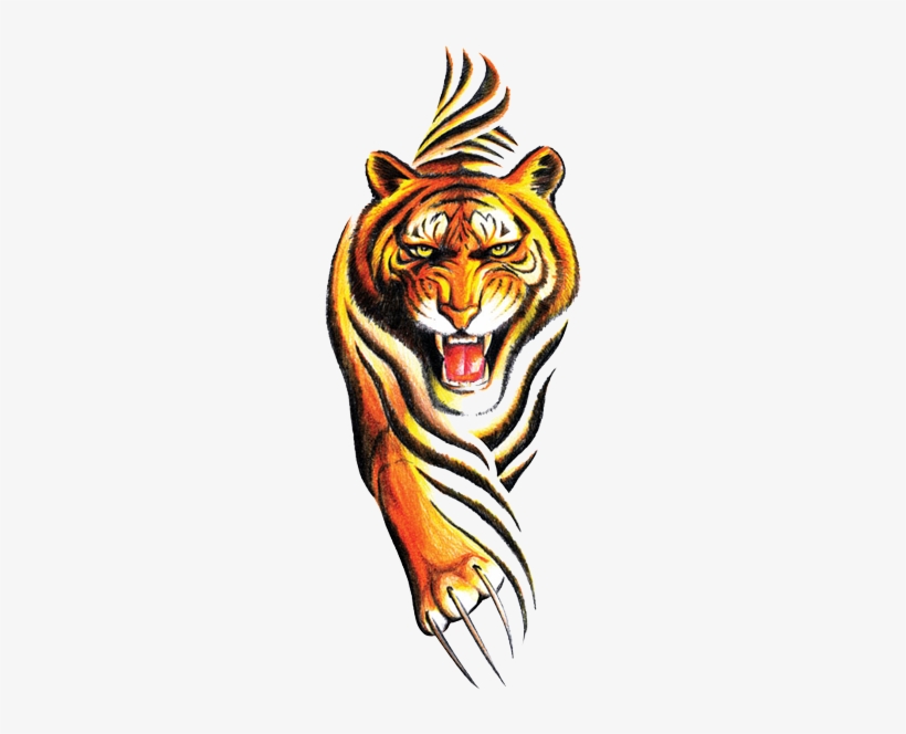 Tiger, transparent png #621171