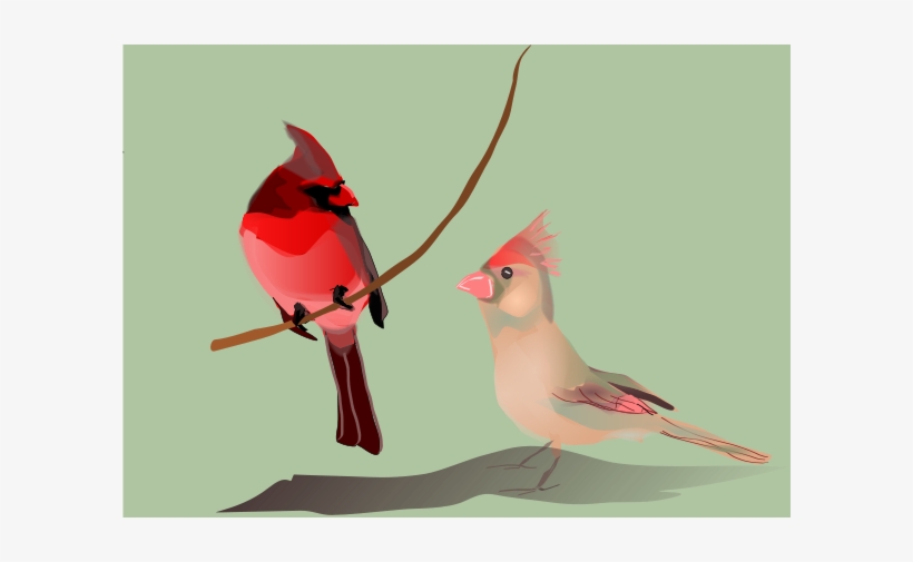 Birds In Tree Branches Of Clipart Png, transparent png #621248