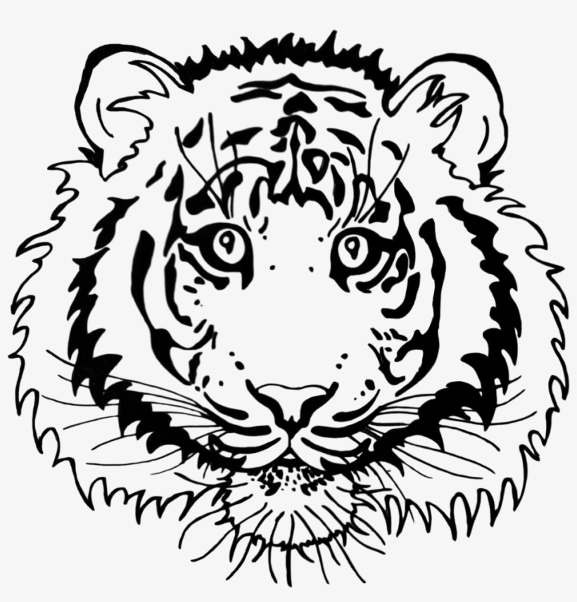 Tigerlines, transparent png #621270