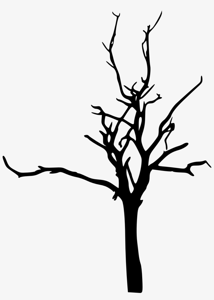 Drawing Branches Scene - Bare Tree Tree Silhouette Png, transparent png #621475