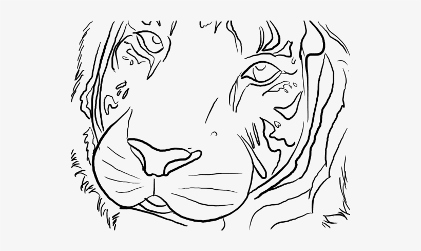 Free Tiger Line Art By Naomih91-d4lv07p - Tiger Free Lineart, transparent png #621745