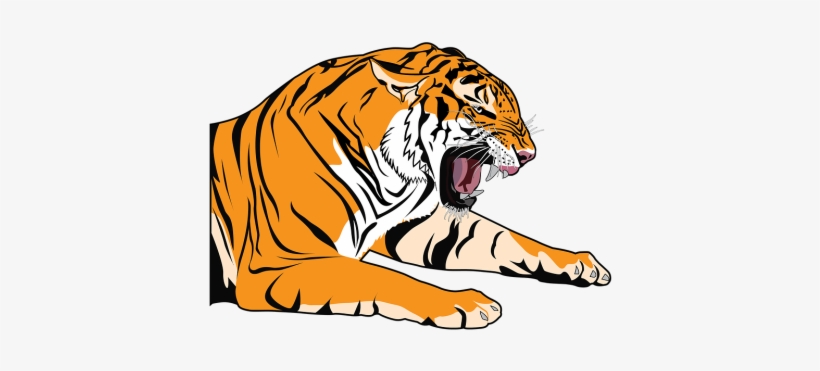 Cartoon Tiger Png Vectors Psd And Clipart For Free - Comic Cartoon Shirt Tiger Lion Wildcat Animal, transparent png #621891