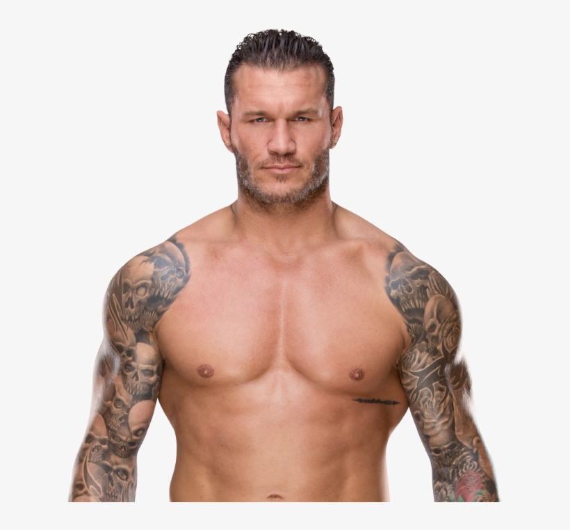 Randy Orton Pro - Randy Orton United States Championship, transparent png #622117