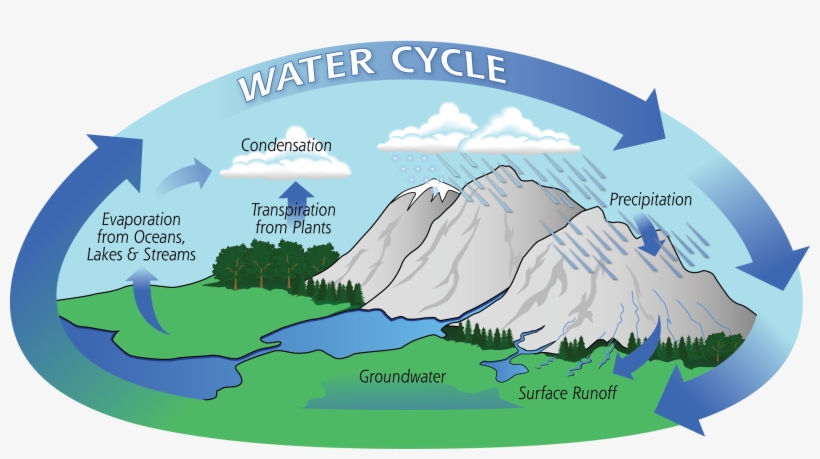 Diagram Of The Water Cycle Showing Evaporation, Condensation, - Water Cycle Process, transparent png #622182