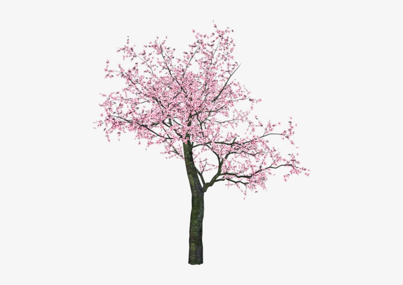 Watercolor Trees - Spring Tree Clip Art, transparent png #622939