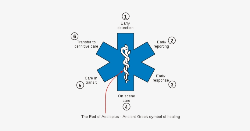 Basic Information About First Aid Principles, transparent png #623986