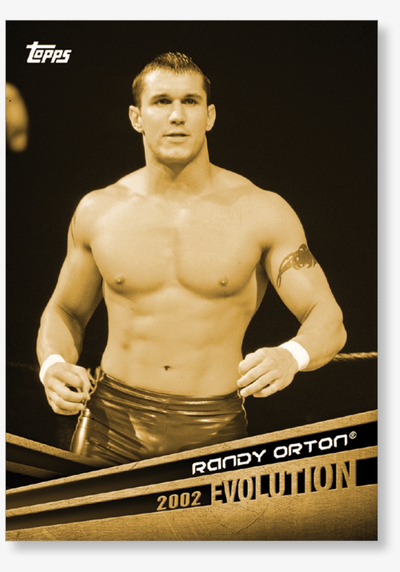 Randy Orton Png, transparent png #624176