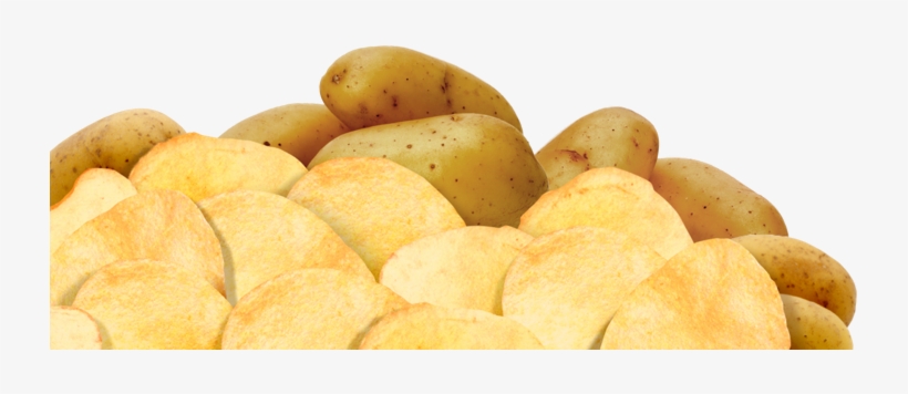 Potato Chips - Russet Burbank Potato, transparent png #624432