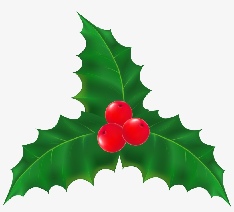 Image Library Christmas Mistletoe Transparent Clip, transparent png #624672