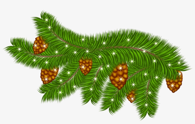 Transparent Pine Branch With Pine Cones Png Clipart, transparent png #624802