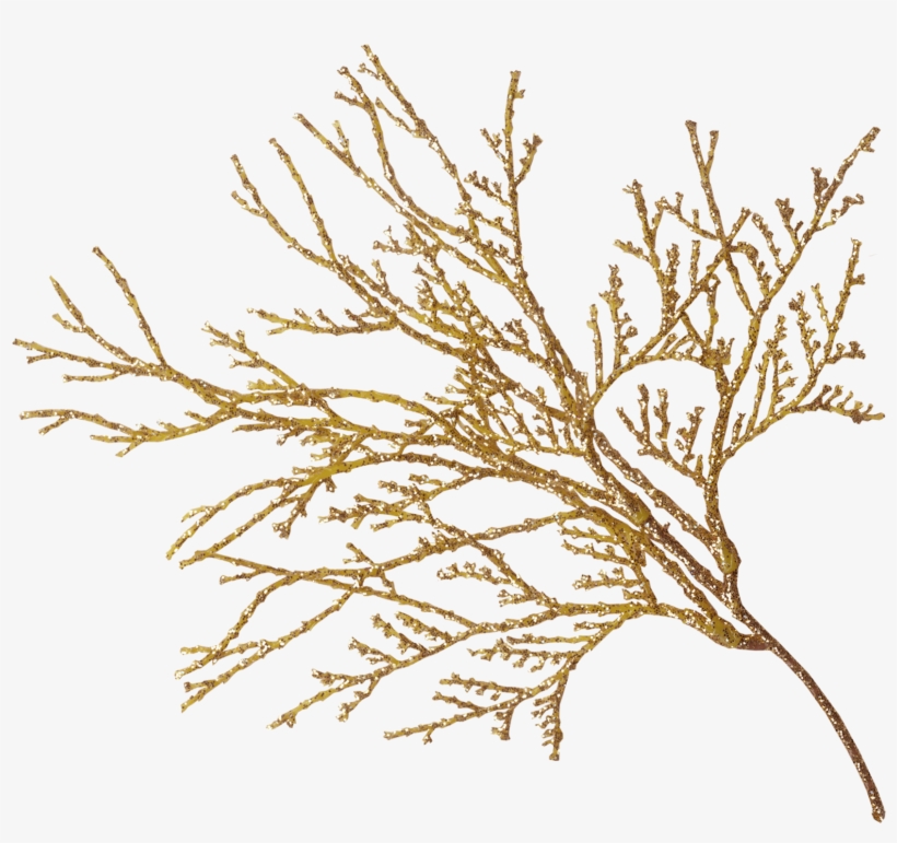 Lounging With A Latte - Gold Lace Transparent, transparent png #624994