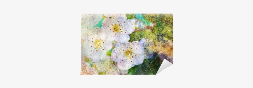 Spring White Flowers And Messy Watercolor Splatter - Komar Wall Mural, transparent png #625838