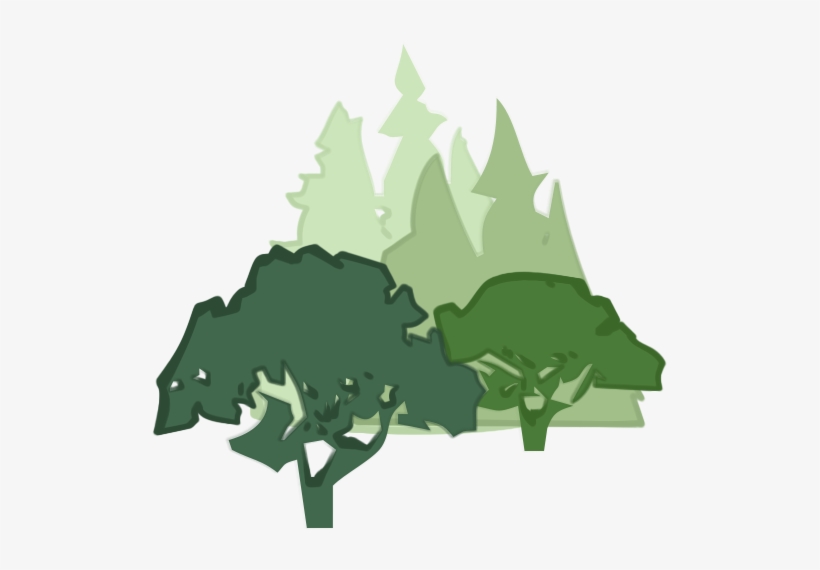 Guidelines For Developing And Evaluating Tree Ordinances - Bank, transparent png #627239