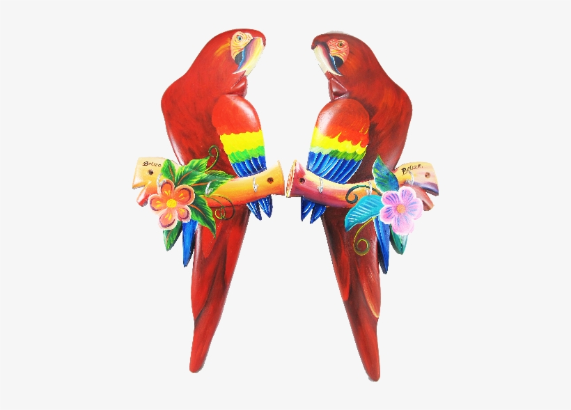 Scarlet Macaw, transparent png #628228