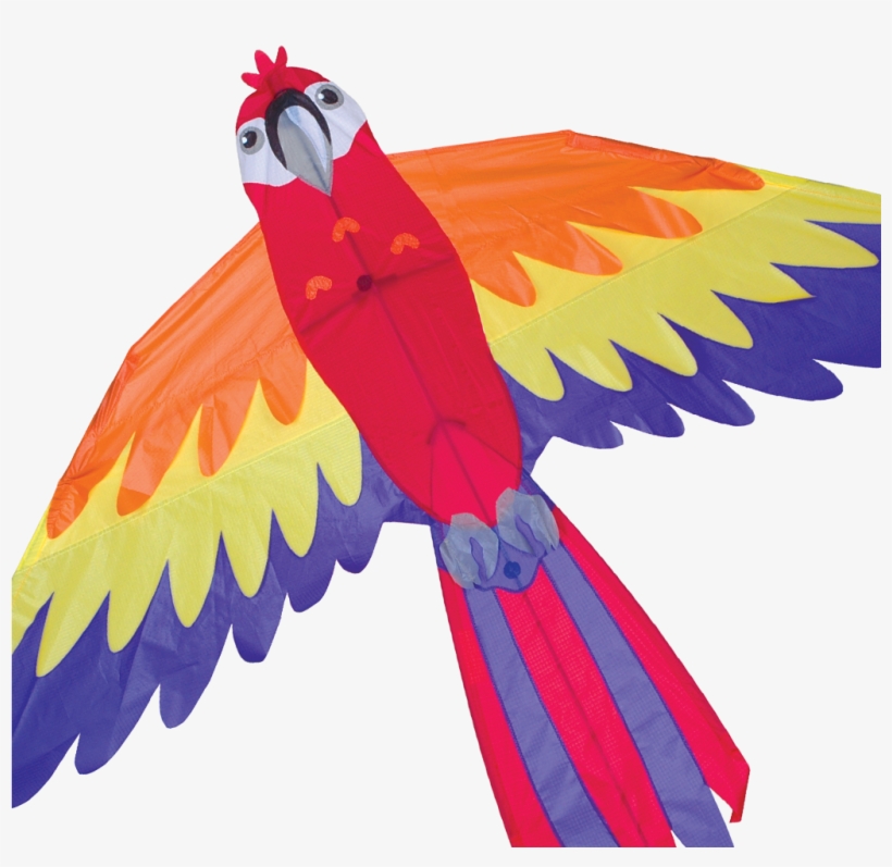 Macaw Kite - Premier Designs Macaw Kite, transparent png #628408