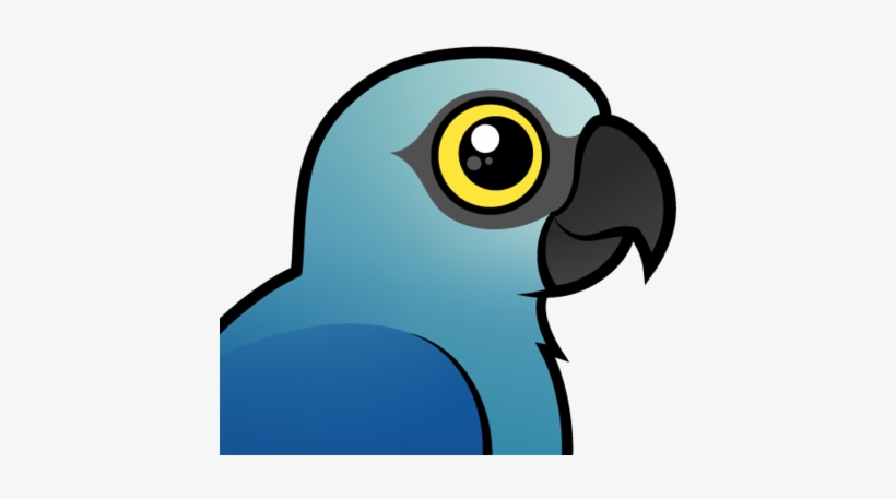 About The Spix's Macaw - Spix Macaw Clip Art, transparent png #629033
