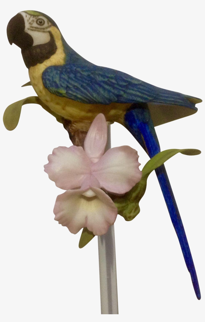 1987 Franklin Mint, Tropical Birds And Flowers Series, - Figurine, transparent png #629067