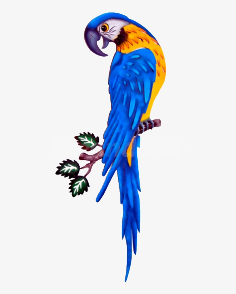 Dcorative Blue Macaw - Parrot, transparent png #629131