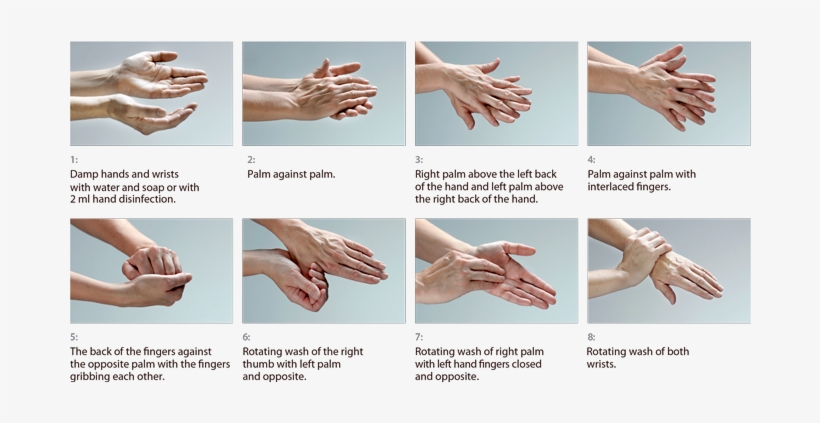 Correct Hand Wash Uk - Hygiene Hand Wash, transparent png #629399