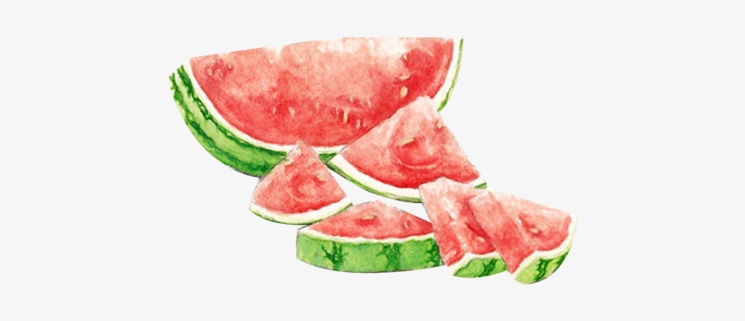 Watermelon Transparent Watercolour - Watermelon Watercolor Watercolor Summer Png, transparent png #629636