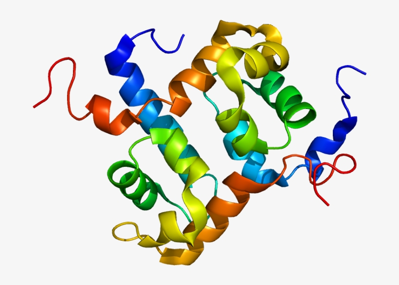 Double Helix Png, transparent png #6200393