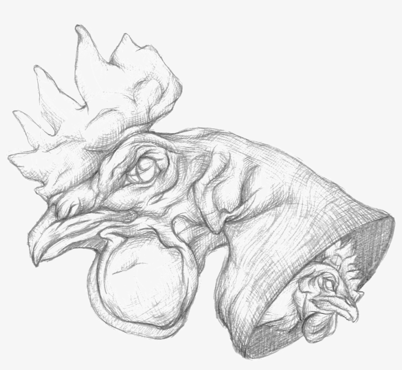 Chicken Head Bw - Chicken, transparent png #6200595