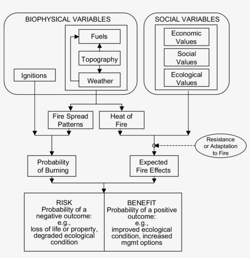 Conceptual Framework For Evaluating The Risks And Benefits, transparent png #6201124