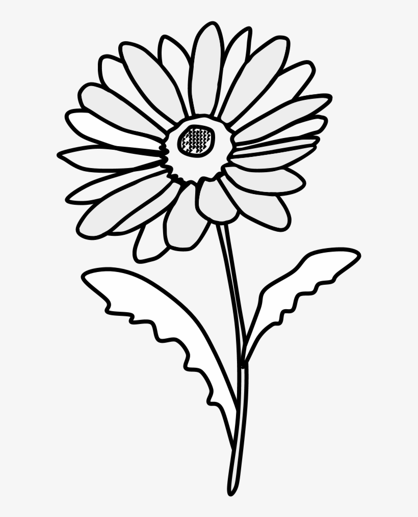 Daisy, Petals, Black And White, Png - Wall Decal, transparent png #6203279