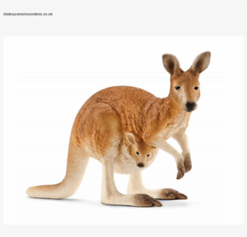 The Most Popular New Schleich Kangaroo Wild Life Action, transparent png #6203348