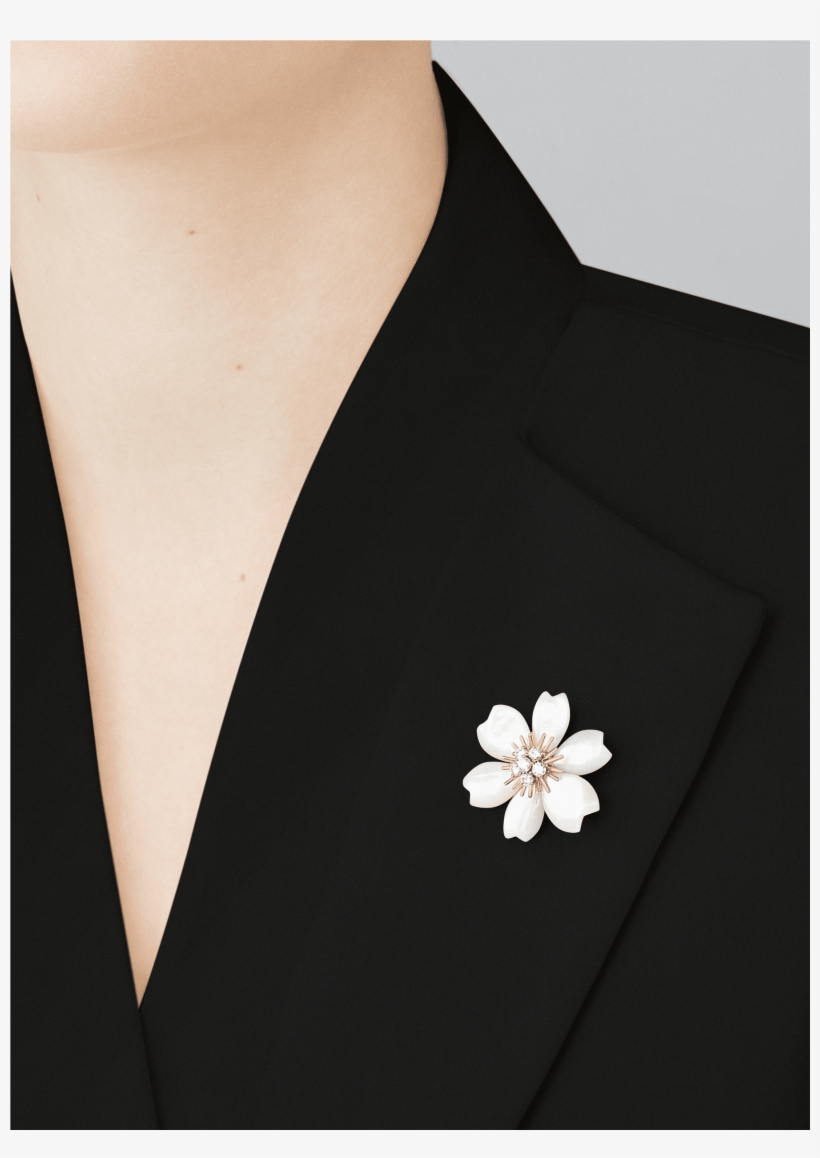 Formal Wear, transparent png #6203596